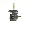 Valve, Fuel