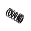 SPRING, valve outer