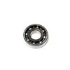 RADIAL BALL BRG. 6204