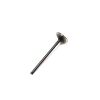 VALVE,EXHAUST