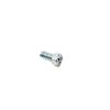 SCREW OVAL HEAD M5X10