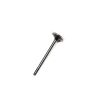 EXHAUST VALVE