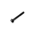 BOLT M8X55