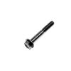 BOLT, FLANGE M8X55L
