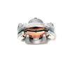 FR BRAKE ASSY