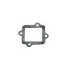 Gasket, Reed Valve