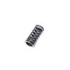 SPRING, VALVE INNER