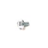 BOLT M6×10