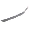 HANDLE GUARD TRIM BOARD, RH, PAINTING DARK GRAY
