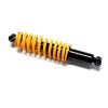 Rear Shock Absorber Assy