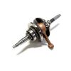 CRANKSHAFT ASSY