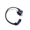 High-voltage ignition coil