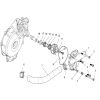 Water Pump assembly