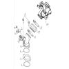 FUEL INJECTION ASSY