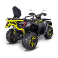 TGB Blade 1000 LTX LED MAX EPS T3b LIMITED