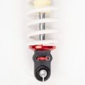 Shock Absorber, Front with GAS