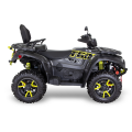 TGB Blade 1000 LTX LED MAX EPS T3b LIMITED