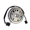 FLYWHEEL MAGNETO ASSY