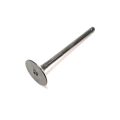 INTAKE VALVE