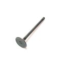 EXHAUST VALVE
