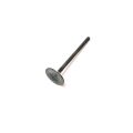 EXHAUST VALVE