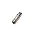 GUIDE INTAKE VALVE