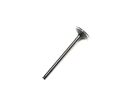 EXHAUST VALVE