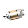 STARTING MOTOR ASSY