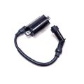 Ignition Coil Comp