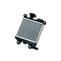RADIATOR COMP