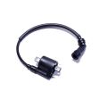 High-voltage ignition coil