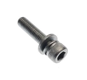 SPECIAL SCREW