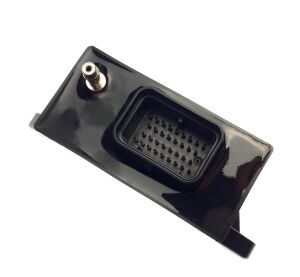 Engine Control Unit (ECU)