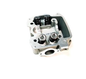 Cylinder Head Ass'y