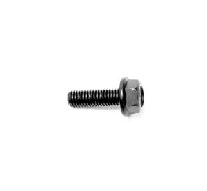 BOLT M8×25