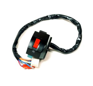 SWITCH ASSY (05 MODEL 50TH MODEL)