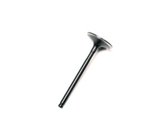 Valve, Intake