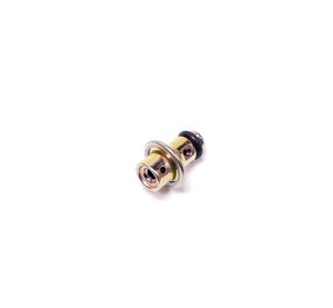 REGULATOR, FUEL PUMP-300 KPA