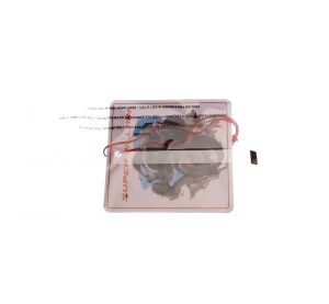 Square Scented Cards