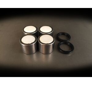 Houser Swing Arm Pivot Bearing Kit Honda TRX450R