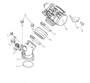 FUEL INJECTION ASSY