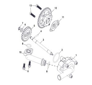 WATER PUMP AND OIL PUMP