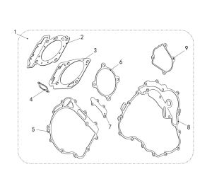 FRAGILE GASKET ASSY.