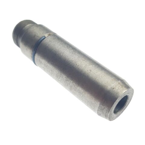 GUIDE INTAKE VALVE