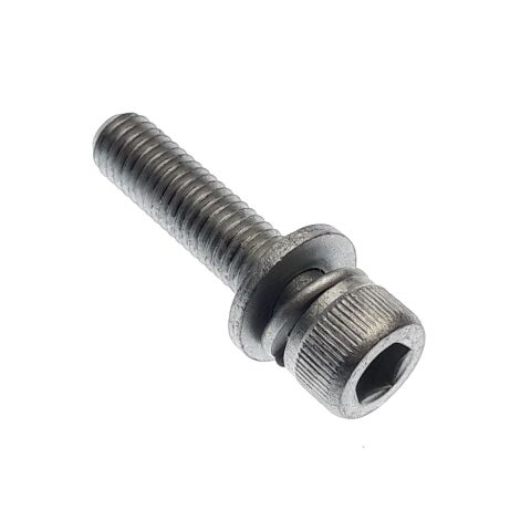 SPECIAL SCREW