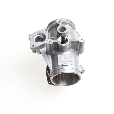 Throttle Body w/TPS/INJECTOR
