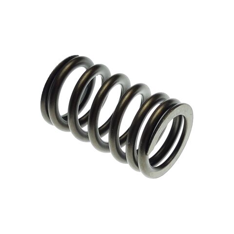 VALVE SPRING