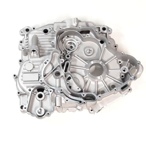 LEFT CRANKCASE ASSY