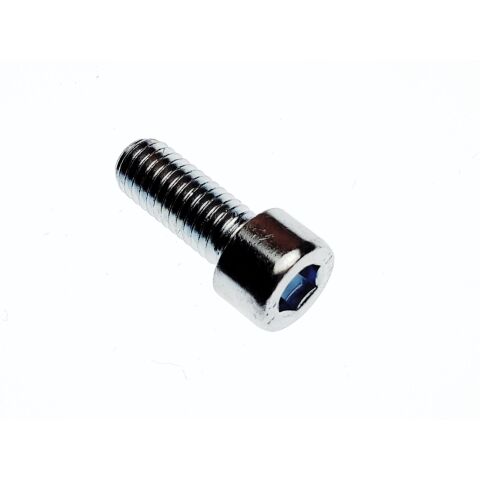 SCREW M8×25