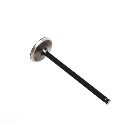 VALVE, exhaust